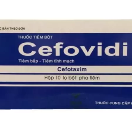 Thuốc Poximvid 1g Vidipha bột pha tiêm hoạt chất Ceftazidime