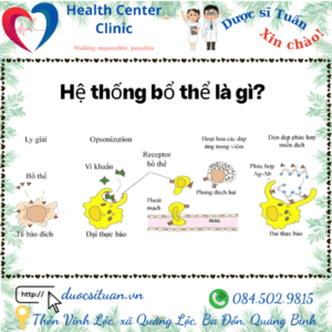 He thong bo the la gi?