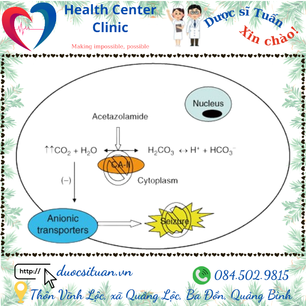 Co che hoat dong cua Acetazolamide